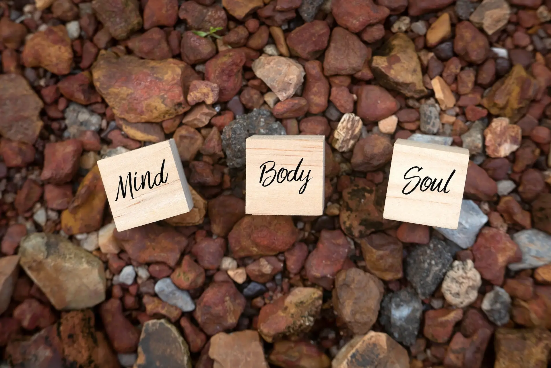 Three wooden blocks with the words Mind, Body, and Soul are placed on a bed of reddish and brown rocks. STG-Health